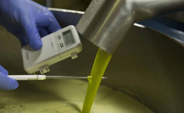 Coag denunciará a las empresas que compren aceite de Marruecos y otros países y alerta de mezclas con el español