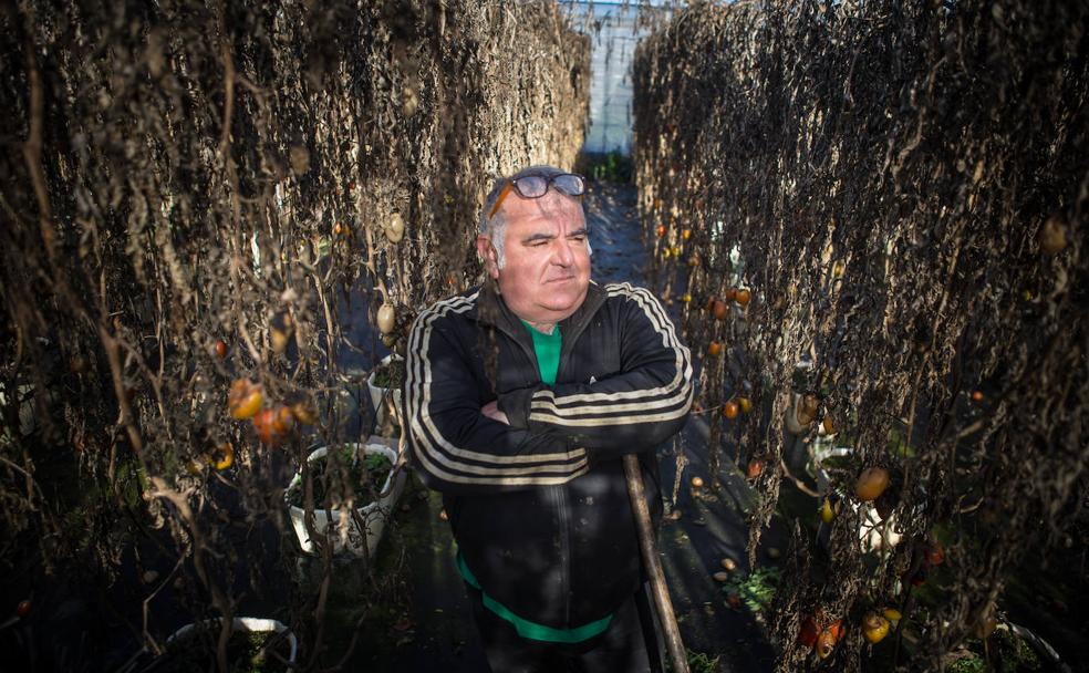 Manuel Ruiz, horticultor: «Somos los pequeños agricultores quienes hacemos los grandes productos»