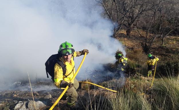 Controlado un incendio forestal en Cáñar