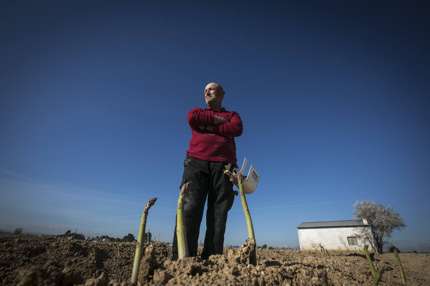 Rafael Jesús Sánchez, esparraguero: «Todos los días nos acostamos sin saber si hemos perdido o ganado dinero»