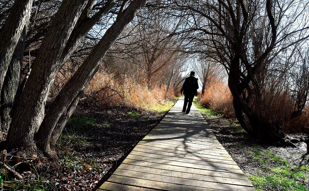 La ruta del Mamut, un viaje familiar al origen del Cuaternario