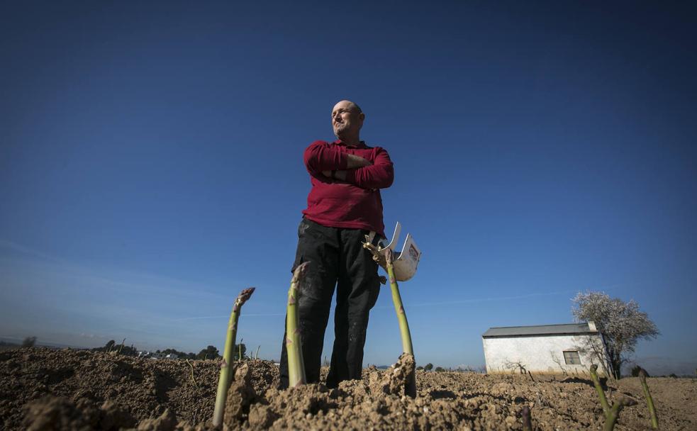 Rafael Jesús Sánchez, esparraguero: «Todos los días nos acostamos sin saber si hemos ganado o perdido dinero»