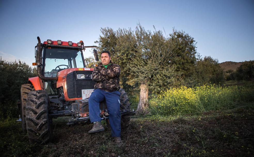 Fernando Pulido, olivarero: «Si hubiera justicia en el campo, este trabajo sería maravilloso»