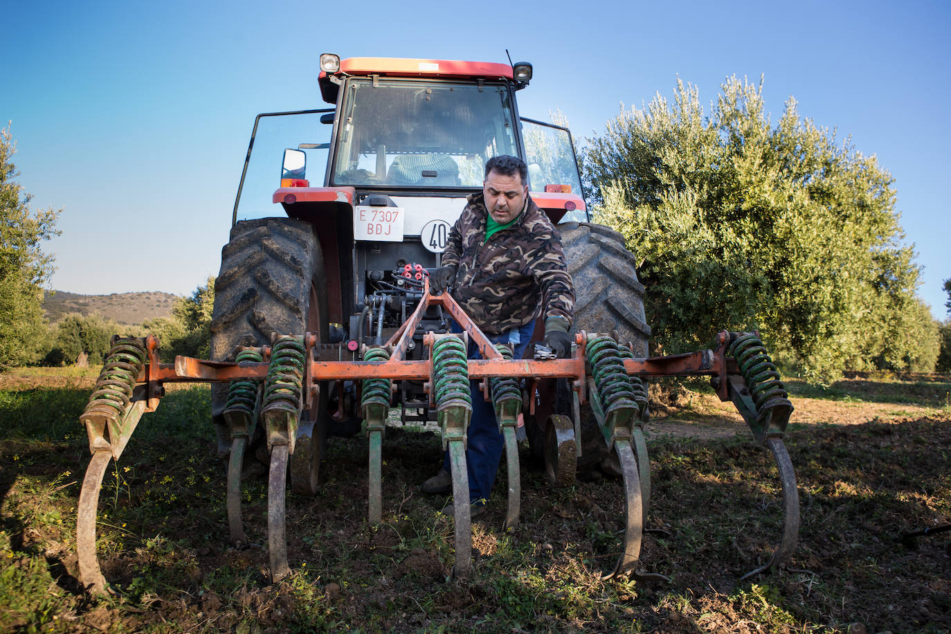La vida de campo de Fernando Pulido, olivarero de Íllora