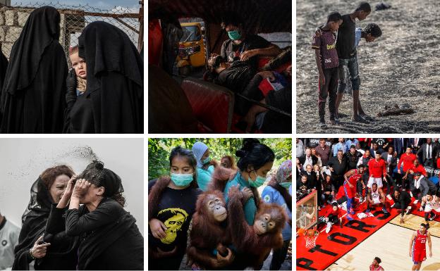 Las impactantes fotografías que aspiran a ganar el World Press Photo 2020