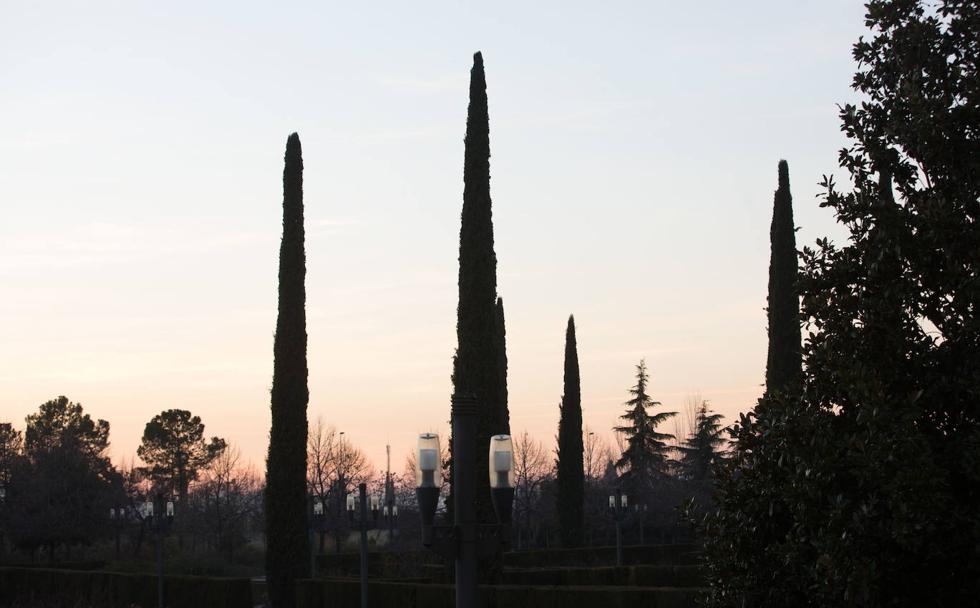 Los perdedores del Parque García Lorca
