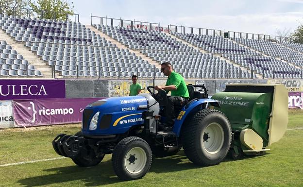 El Real Jaén inicia los trabajos para recuperar el césped