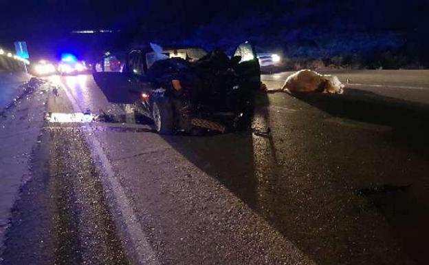 Un coche atropella y mata a tres becerros en una carretera de Purullena
