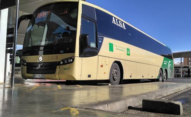 ¿Qué transportes están operativos y con qué frecuencia?