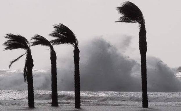 El litoral del Poniente de Almería y la capital están en aviso amarillo