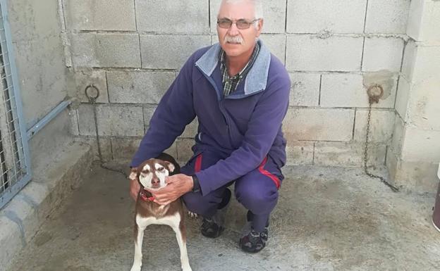 «Tu perro puede ser más lento, pero cazar mejor que los más rápidos»