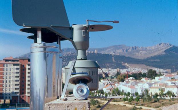 La floración del olivo se adelantará y el nivel de concentración de polen será más intenso