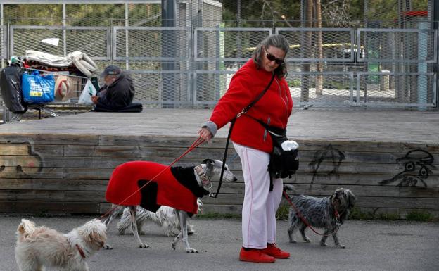 PACMA denuncia las ordenanzas abusivas contra el paseo de perros en varios municipios jienenses