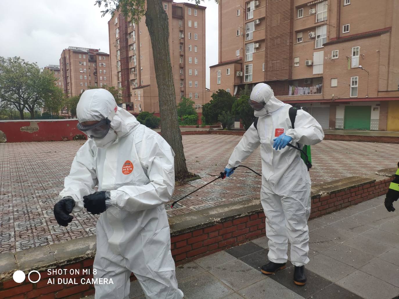 Jaén no alcanza la ansiada estabilización, con 'dientes de sierra' en las cifras