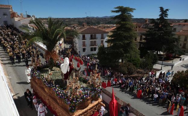 Ni palmas ni olivos para recibir a la Semana Santa en la provincia