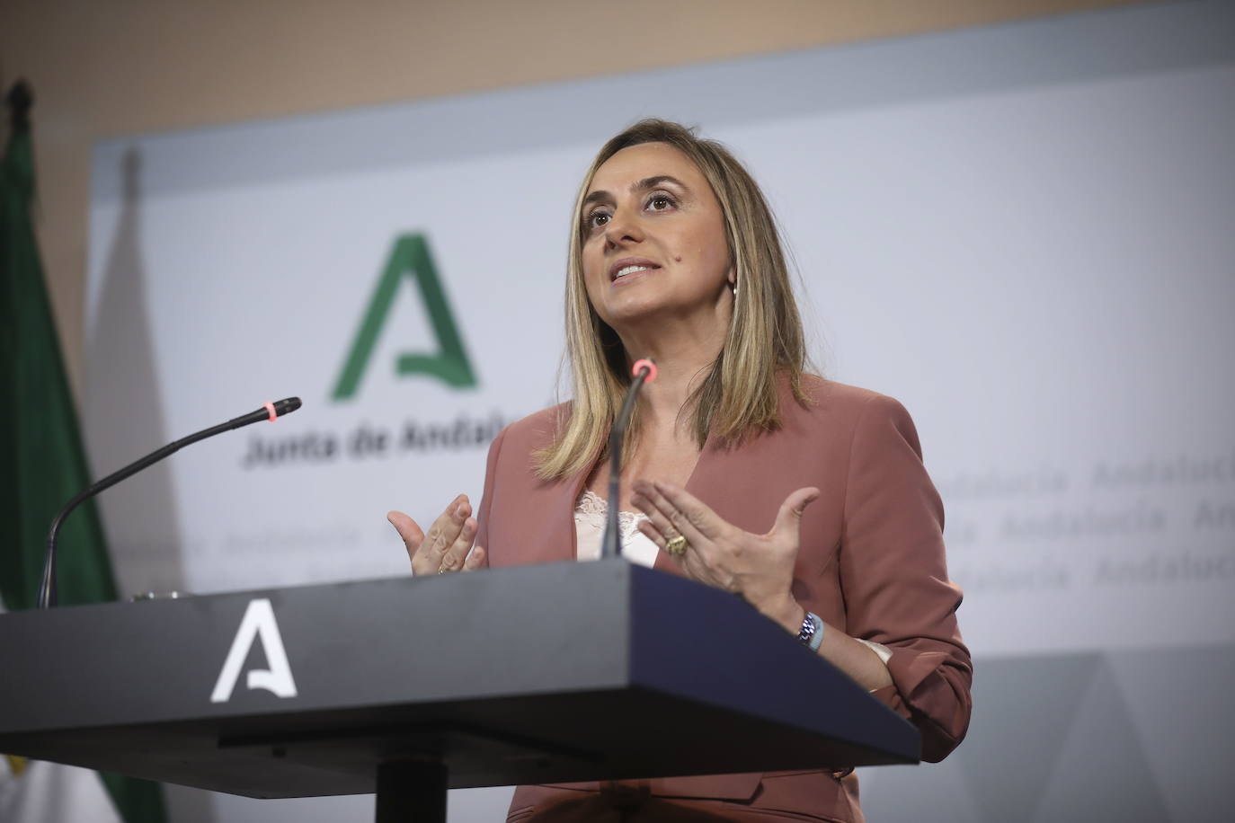 Carazo afirma que los taxistas podrán acogerse al plan de ayuda a los autónomos de la Junta