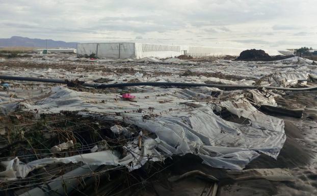Productores de berenjena, pepino o pimiento afectados por la DANA en Almería, sin rebaja fiscal