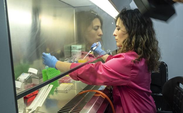 La UGR solicita a Sanidad la validación para hacer 3.000 test PCR diarios