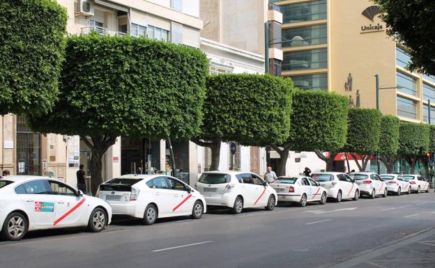 El Ayuntamiento concede 60.000 euros de subvención a Taxi Almería
