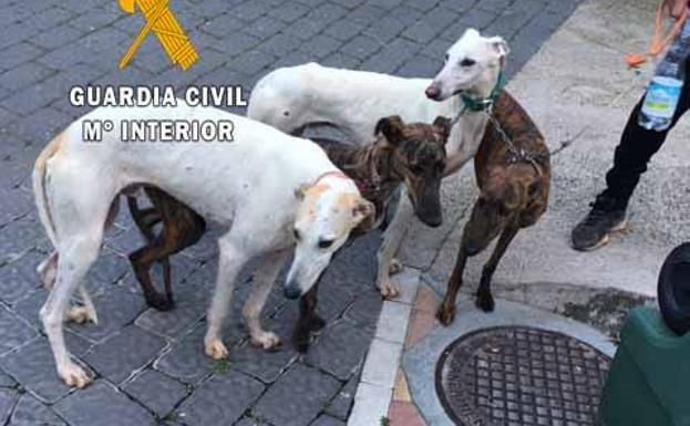 Sorprenden a dos furtivos cazando en La Puerta de Segura en pleno estado de alarma