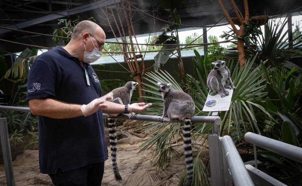 Cuarentena en la jungla de Granada