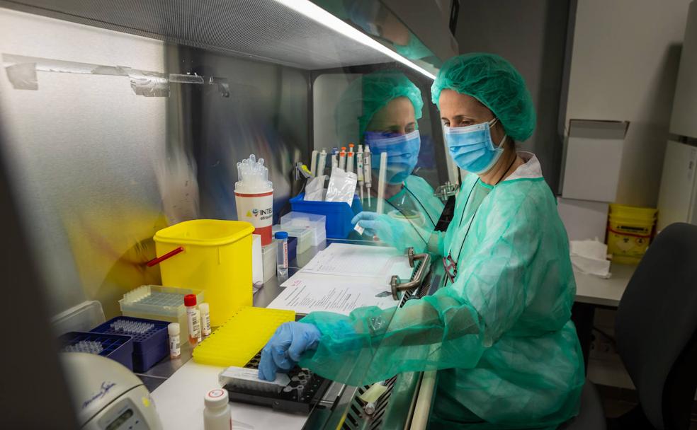 El laboratorio donde se detecta 'el bicho'