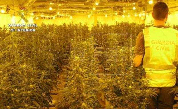 Descubren dos invernadores de marihuana en dos pisos de Cenes de la Vega