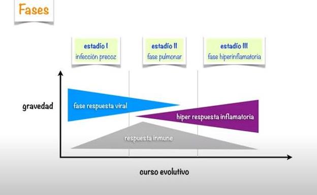 Claves para entender mejor la Covid-19 y el «papel central» que juega el sistema inmunitario