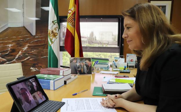 Dos pollos de quebrantahuesos criados en Cazorla serán liberados el sábado en la Sierra de Castril