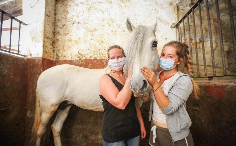 Las alemanas confinadas en la granja escuela