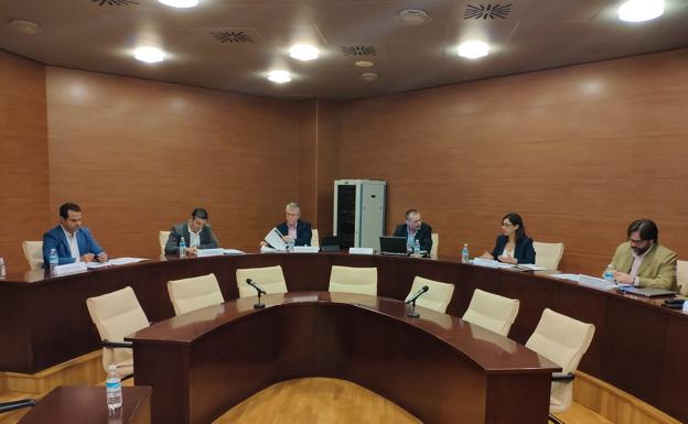 Advierten que la crisis del Covid-19 ha propiciado una nueva forma de trabajar en el sector del aceite de oliva