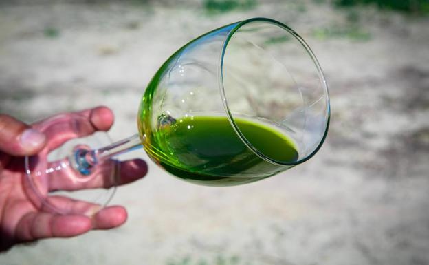 La «paradoja» del aceite: se trae un 42% más de fuera del país habiendo abundante nacional sin vender con precios hundidos