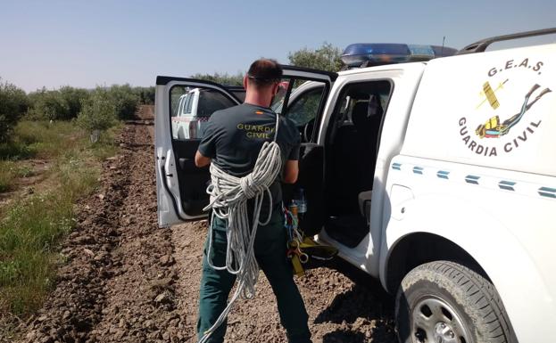 Intensa mañana de búsqueda del desaparecido en Arjona