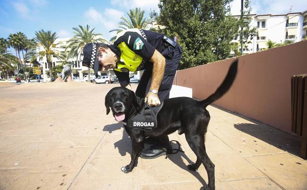 La unidad canina de Almuñécar realiza 35 decomisos de droga durante el estado de alarma