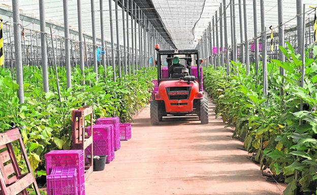 La UE plantea un recorte del 9% en los fondos de la PAC