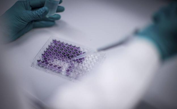 Investigadores españoles identifican dos fármacos que inhiben la replicación de la Covid-19