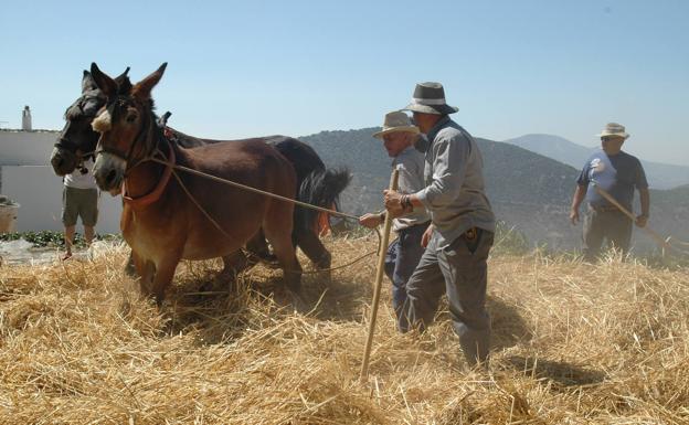 Pórtugos suspende su XXX Fiesta de la Parva y su XXXII Semana Cultura por el coronavirus