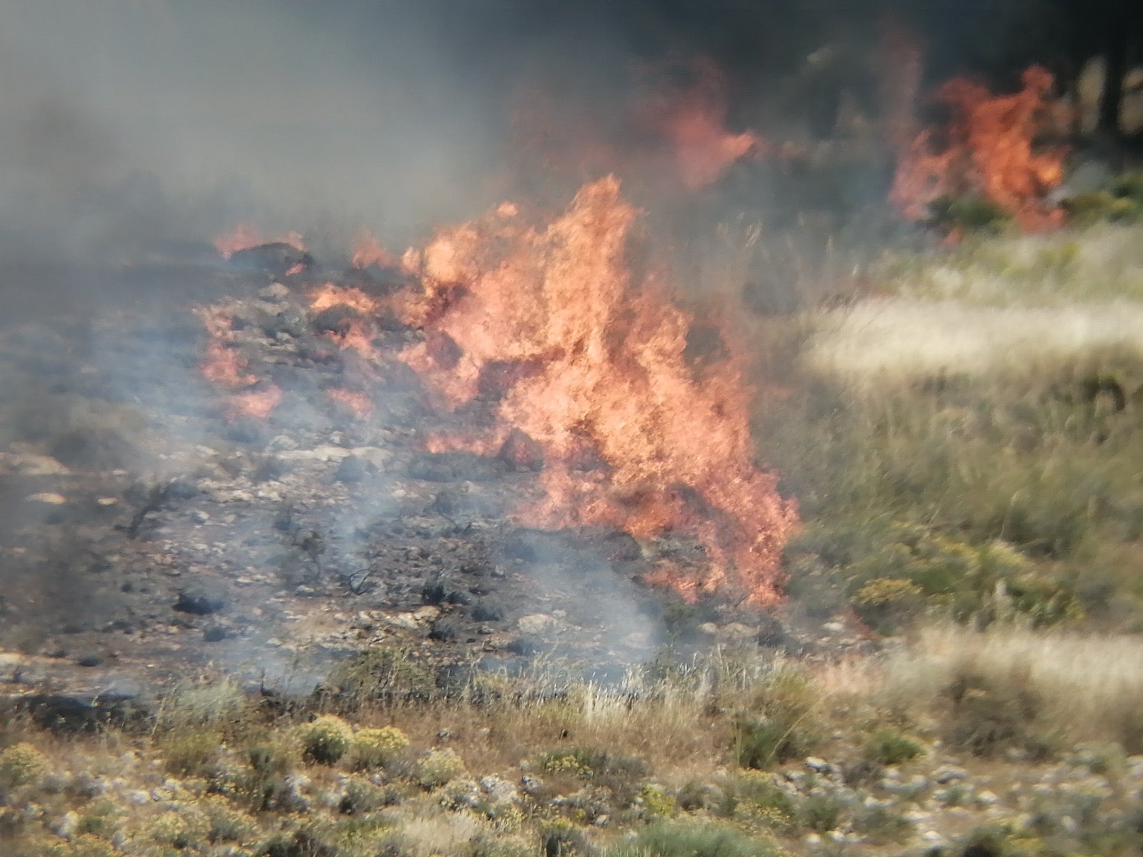 Los bomberos sofocan un incendio en Padul