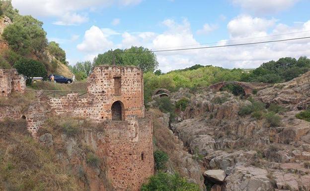 Varios kilos de basura son retirados en 'El Piélago' por 'Linares se pone en verde'