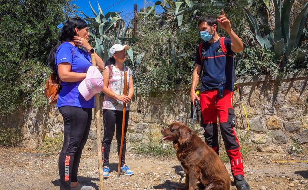«El corazón me dicta que mi hermano está metido en algún recoveco, como un niño asustado»