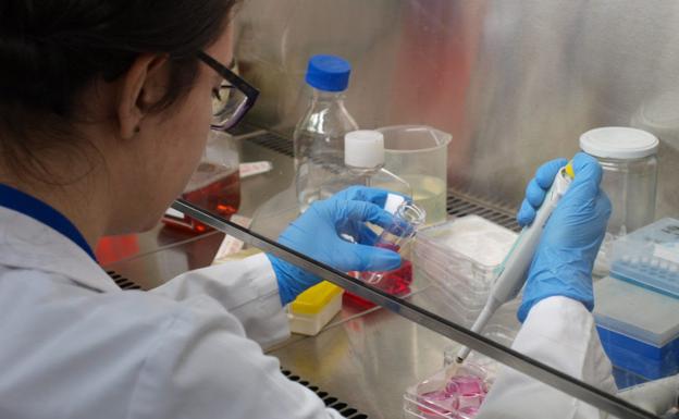 La UGR contará con un laboratorio «singular» para investigación sobre el coronavirus