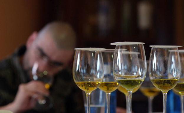 La IGP Aceite de Jaén toma forma con un consejo regulador