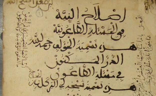 Aparece en El Cairo una obra perdida del almeriense al-Bilyani sobre la peste de mediados del siglo XIV