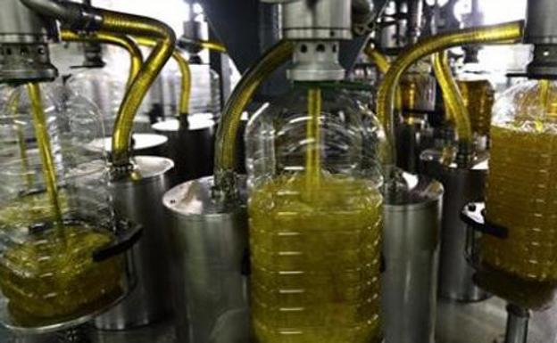 Denuncian coacciones a las cooperativas para que vendan el aceite por debajo del precio de coste