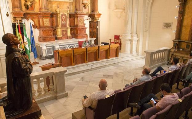 El CES pide a la provincia previsión para adaptar la campaña de aceituna a la Covid