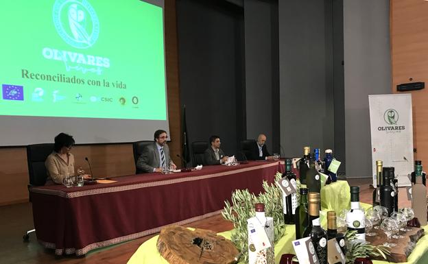 Nueve aceites reciben la distinción Olivares Vivos
