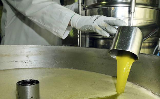 El aceite de oliva importado de otros países bate récords con las almazaras jienenses hasta arriba