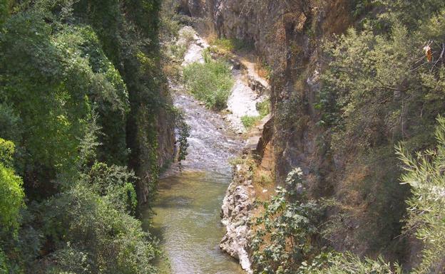 El Ayuntamiento confía en tener en «pocas semanas» los terrenos de los Cañones