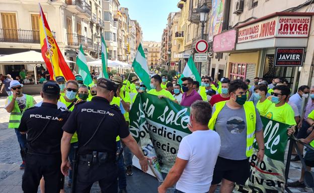 Planas pide que no se almacene aceite de otros países en los depósitos del Patrimonio Comunal Olivarero