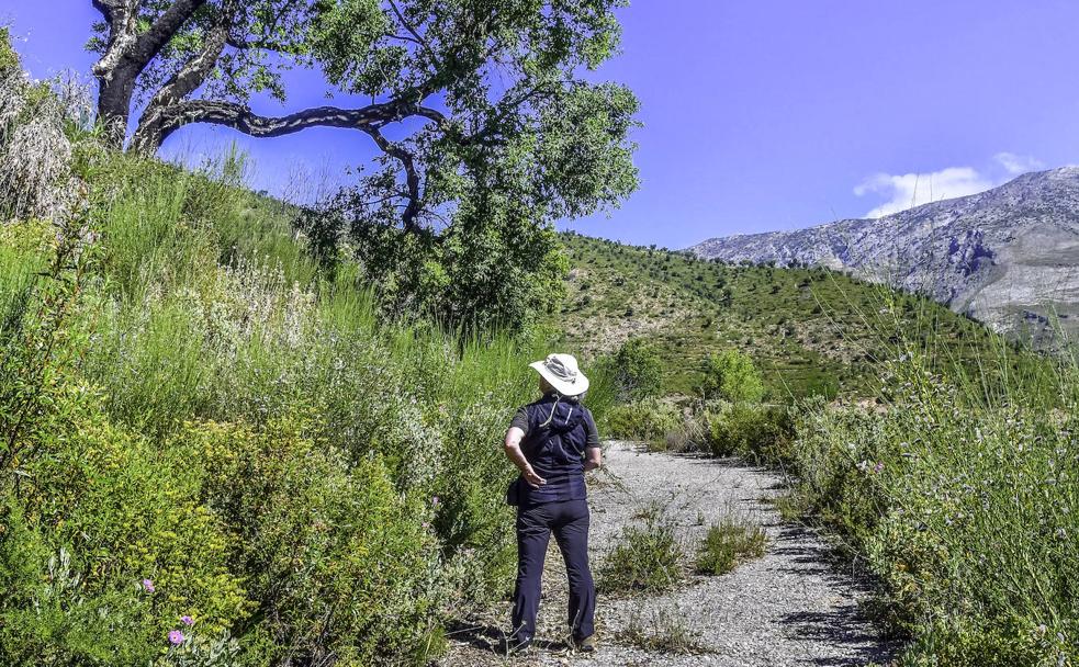 Lújar, cinco años después del fuego
